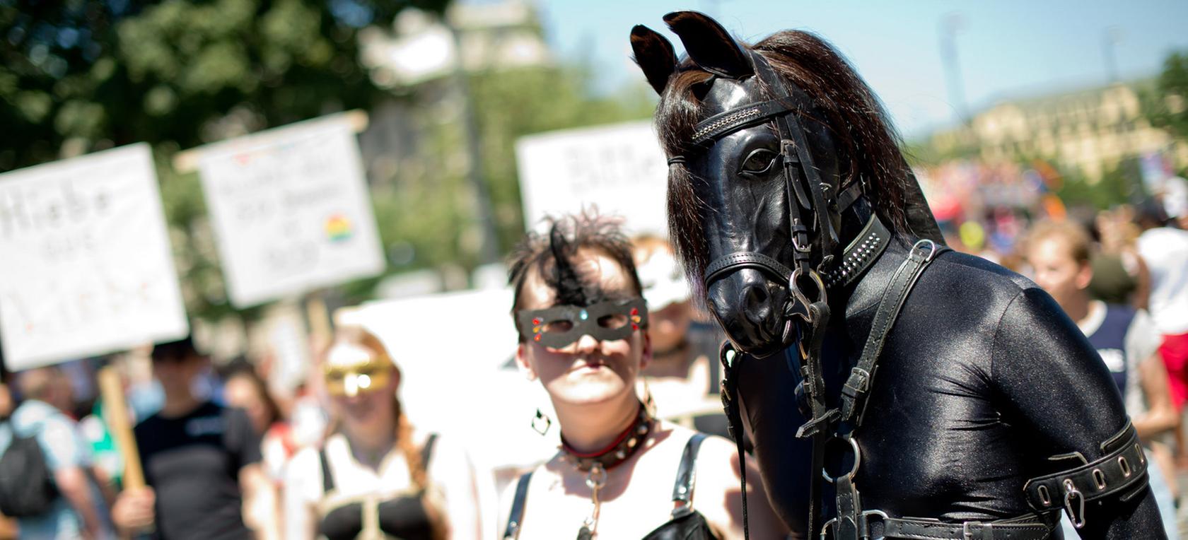 Ķēvītes un Ērzeļi